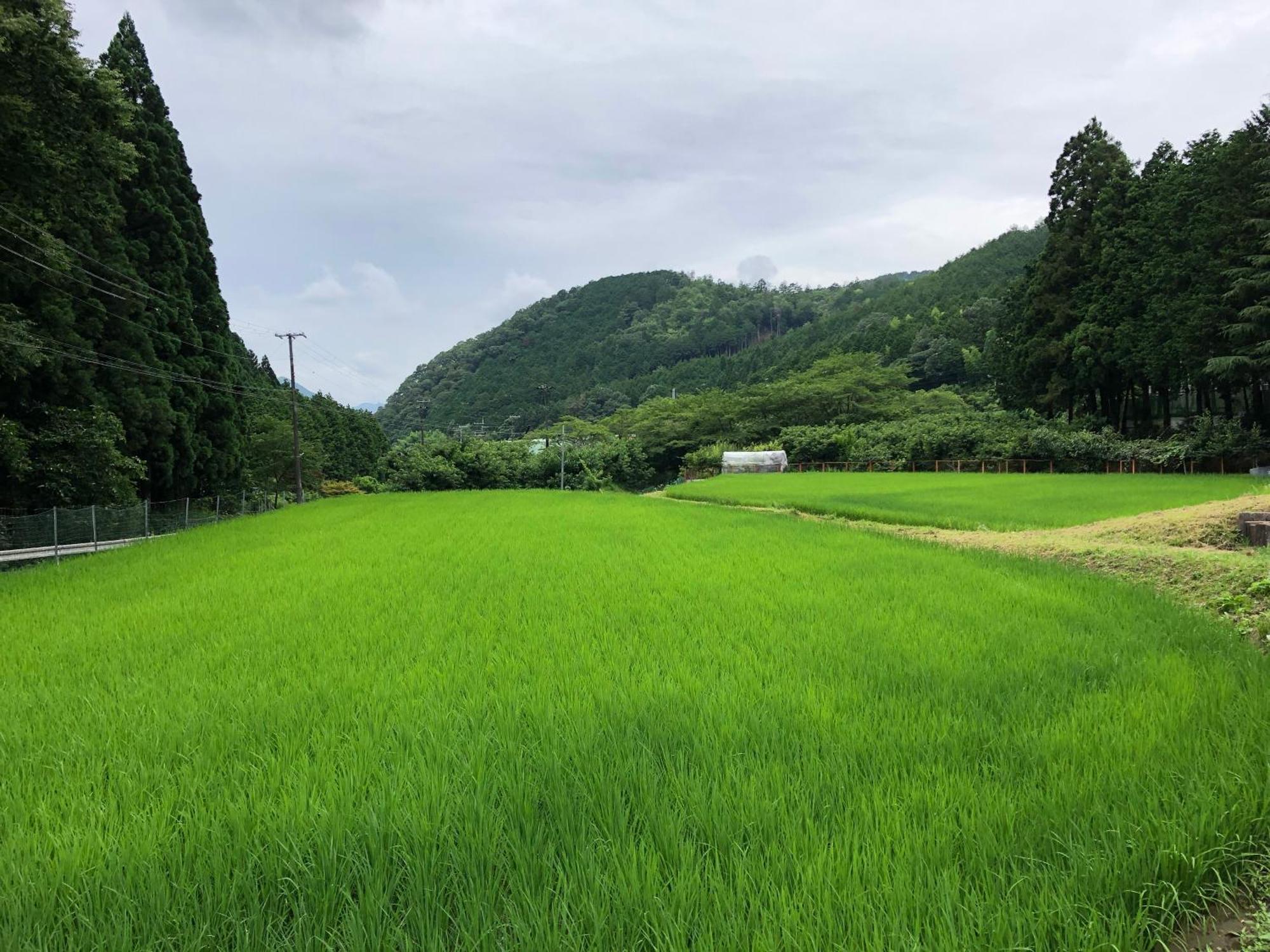 Satoyama Hotel Kanenone Tamba Maibara Exterior foto